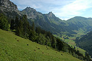 Blick vom Dachbode Richtung Rauflihorn (ganz rechts)