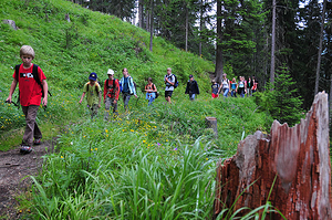 Unterwegs auf dem Höhenweg