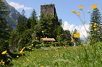 Ruine Felsenberg
